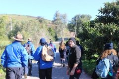 Dia_s_paulo_2019 (12)