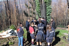 Dia_s_paulo_2019 (13)