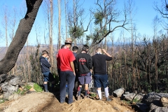 Dia_s_paulo_2019 (17)