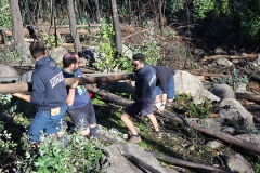 Dia_s_paulo_2019 (22)