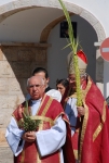 Domingo_ramos_2015 (13).JPG