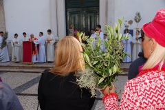 Domingo_ramos_2017 (21)
