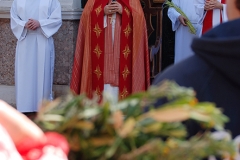 Domingo_ramos_2017 (24)