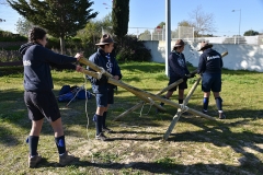 Tecoree_2019 (10)