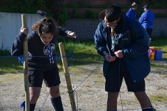 Tecoree_2019 (19)