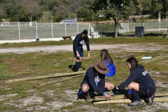 Tecoree_2019 (2)