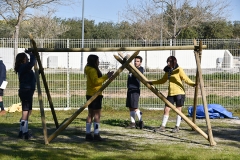 Tecoree_2019 (20)