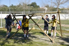 Tecoree_2019 (21)