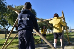 Tecoree_2019 (23)