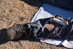 Tecoree_2019 (29)
