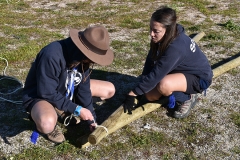 Tecoree_2019 (3)