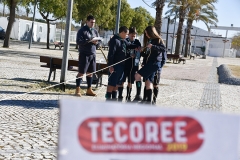 Tecoree_2019 (36)