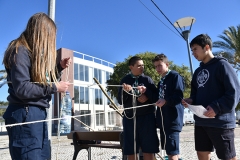 Tecoree_2019 (38)
