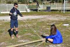 Tecoree_2019 (4)
