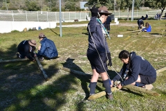 Tecoree_2019 (5)