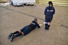 Tecoree_2019 (64)