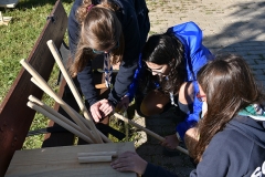 Tecoree_2019 (7)