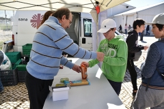 Encontro_emrc_2018 (26)