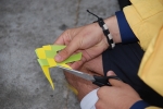 Encontro_regional_caminheiros_2014 (10)