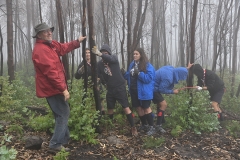 Encontro_regional_caminheiros_companheiros_2018 (24)