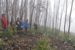 Encontro_regional_caminheiros_companheiros_2018 (25)