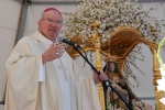Festa_grande_mae_soberana_2014 (12)