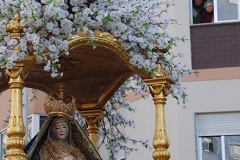Festa_grande_mae_soberana_2017 (60)