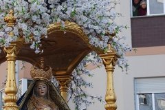 Festa_grande_mae_soberana_2017 (60)