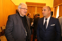 Festa_s_vicente_2019 (10)