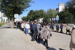 Festa_s_vicente_2019 (29)