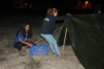 Rivercamp_2014 (16)
