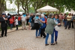 Jornada_igreja_diocesana_2014 (54)