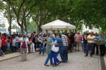 Jornada_igreja_diocesana_2014 (55)