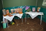Jornada_igreja_diocesana_2014 (62)