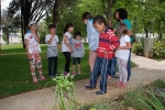 Jornada_igreja_diocesana_2014 (66)