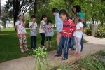 Jornada_igreja_diocesana_2014 (66)