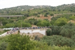 Jornada_igreja_diocesana_2014 (7)