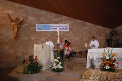 Jornada_igreja_diocesana_2017 (4)