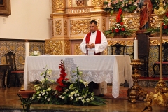 Jornada_igreja_diocesana_2017 (5)