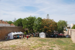 Jornada_igreja_diocesana_2017 (73)