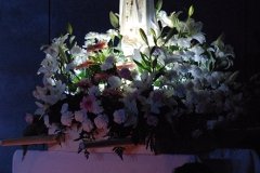 Jdj_2017 (84)