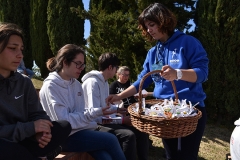 Jornada_diocesana_juventude_2019-105