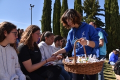 Jornada_diocesana_juventude_2019-106