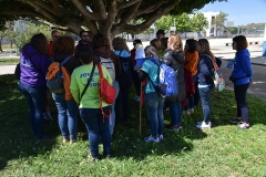 Jornada_diocesana_juventude_2019-70