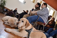 Jornada_servico_pastoral_pessoa_deficiencia_2018 (24)