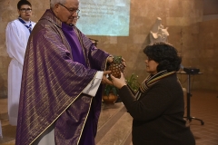 Jornada_servico_pastoral_pessoa_deficiencia_2018 (93)