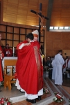 Ordenacao_padre_nelson_rodrigues (79)