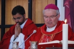 Ordenacao_padre_nelson_rodrigues (96)