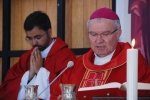 Ordenacao_padre_nelson_rodrigues (96)