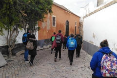 Peregrinacao_nacional_jovens_moviment_mensagem_fatima_mae_soberana-14